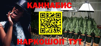 гидропоника Гатчина