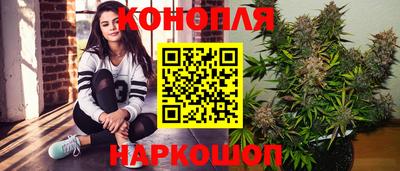 гидропоника Гатчина